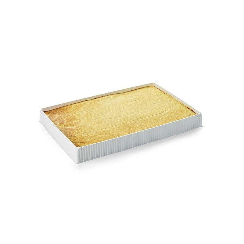MOULE ENTREMET RECTANGULAIRE 590X390X60