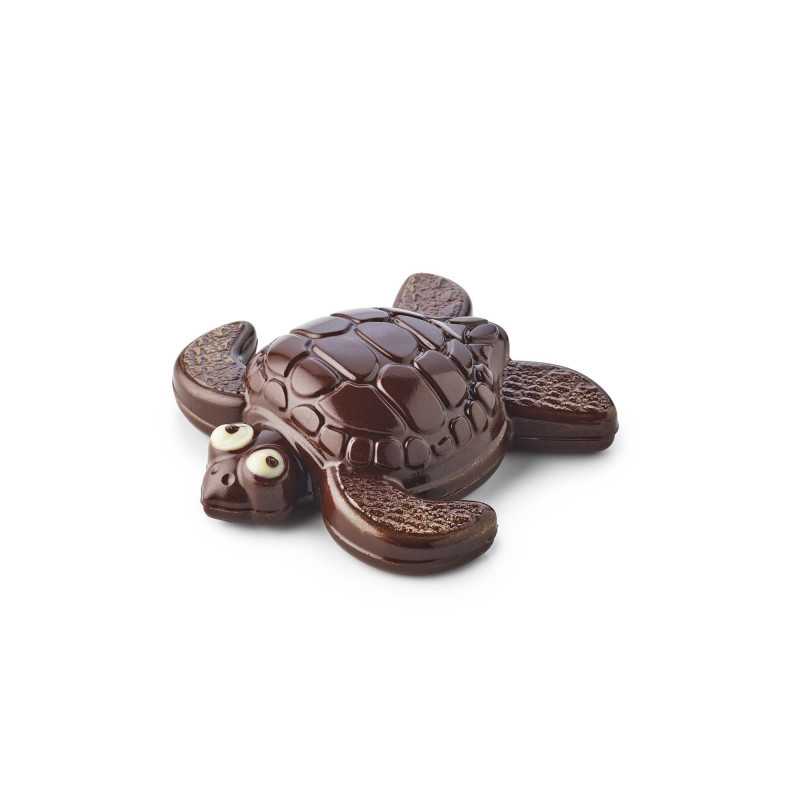 10 MOULES TORTUE MM