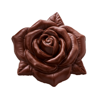 10 MOULES TABLETTE ROSE