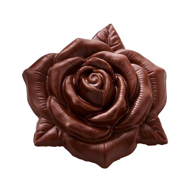 10 MOULES TABLETTE ROSE