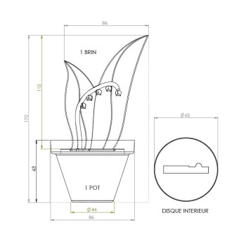 10 MOULES MUGUET MM 2026