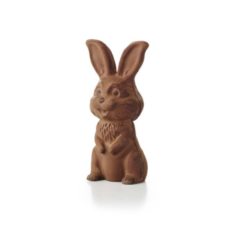 20 MOULES LAPIN PM 2026